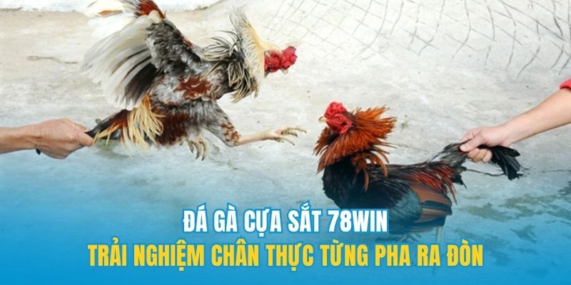 Tìm hiểu về các loại hình để nắm rõ luật chơi